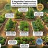 9 Easy Vegetables to Grow at Home